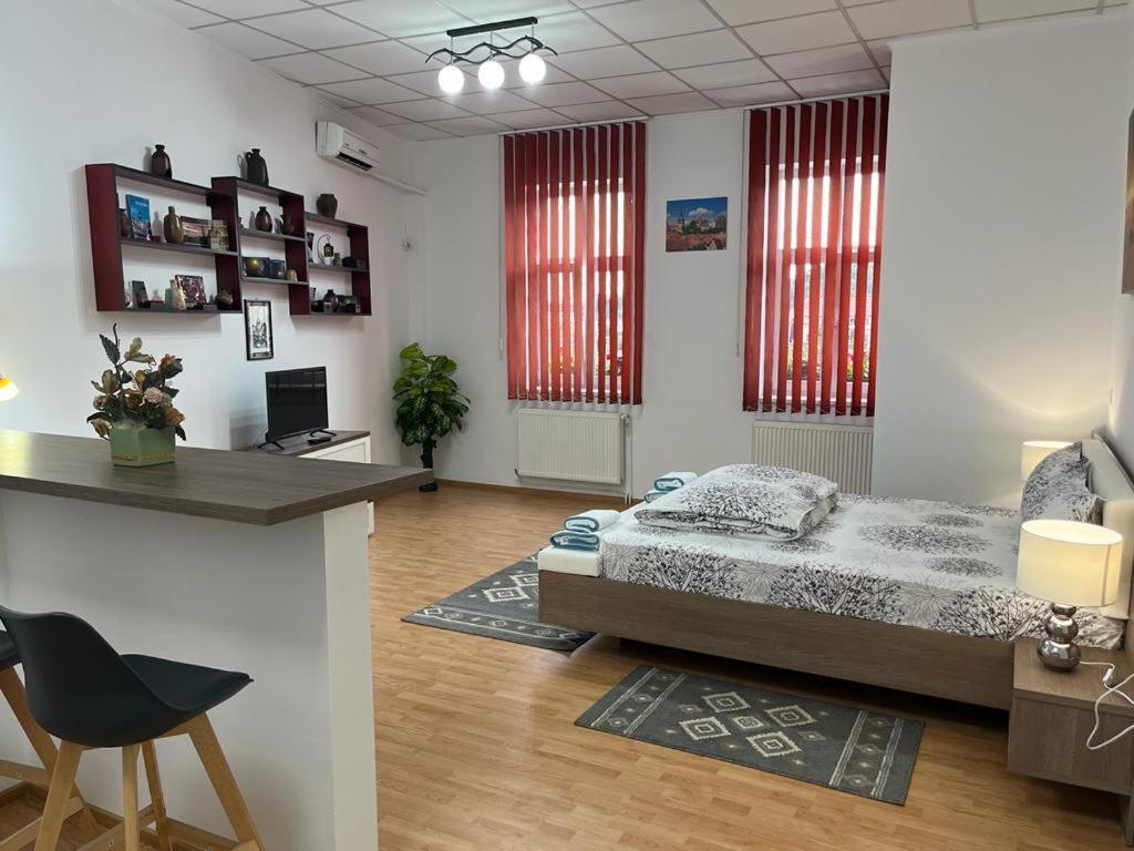 Panorama Studio Сігішоара Екстер'єр фото