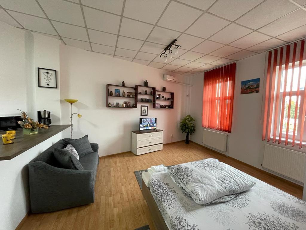 Panorama Studio Сігішоара Екстер'єр фото