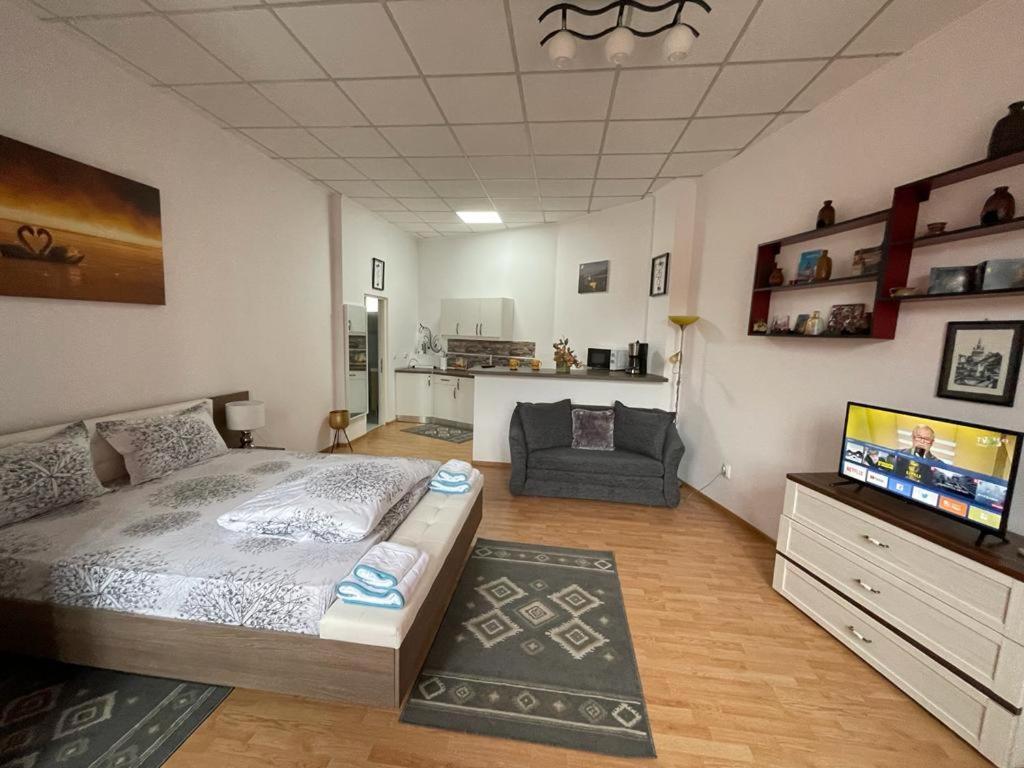 Panorama Studio Сігішоара Екстер'єр фото