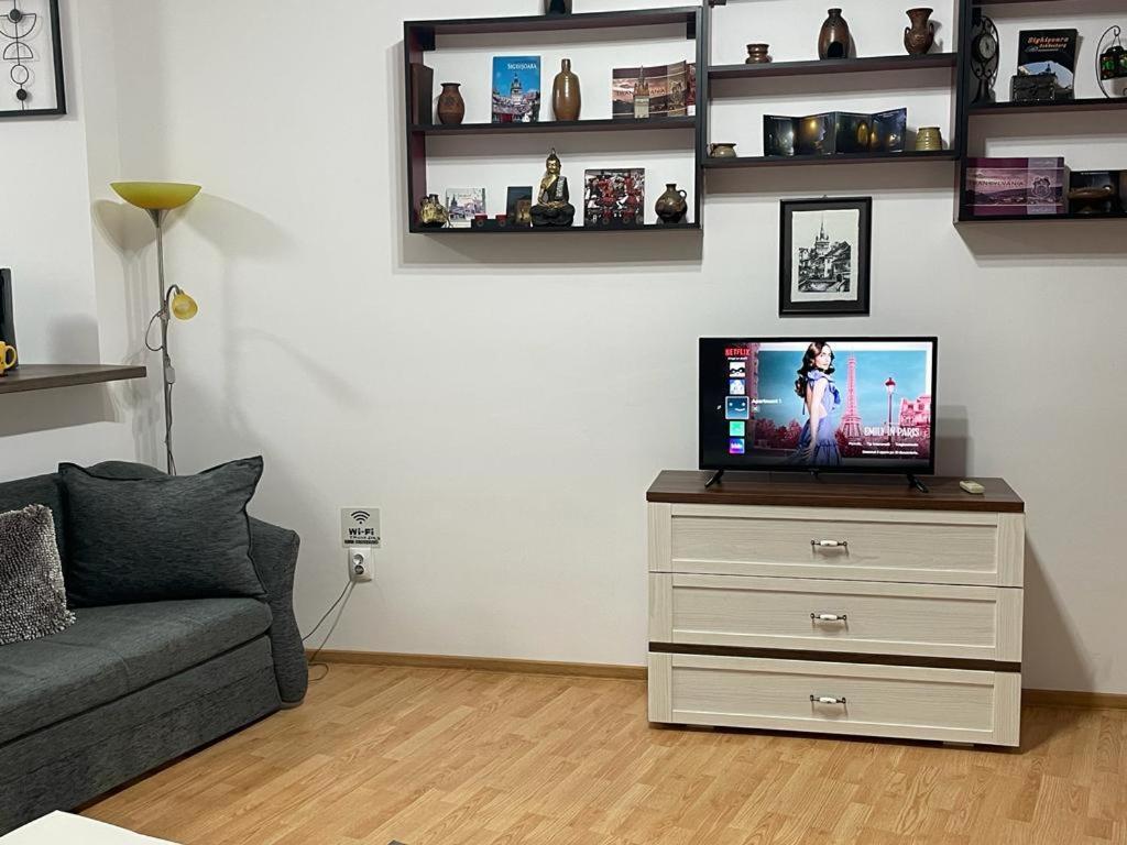 Panorama Studio Сігішоара Екстер'єр фото
